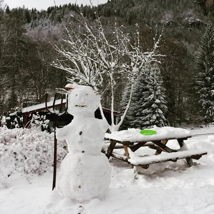 Apartmán Nant D Ant Samoëns Exteriér fotografie